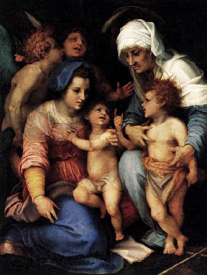 Andrea del Sarto Madonna and Child with St Elisabeth, the Infant St John, and Two Angels France oil painting art